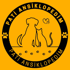 PATİ ANSİKLOPEDİM